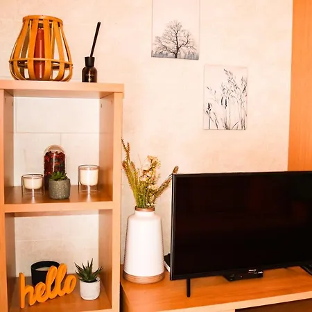 公寓 Apartamento Flamingo Em